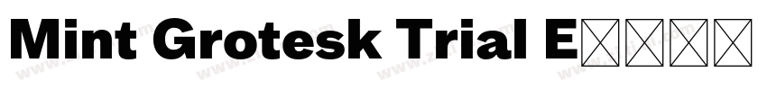 Mint Grotesk Trial E字体转换